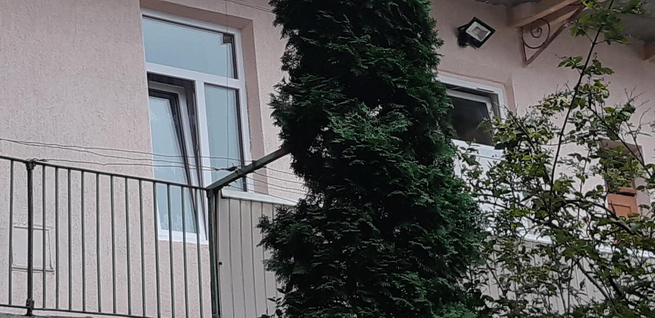 Transfer Apartment إلفيف المظهر الخارجي الصورة