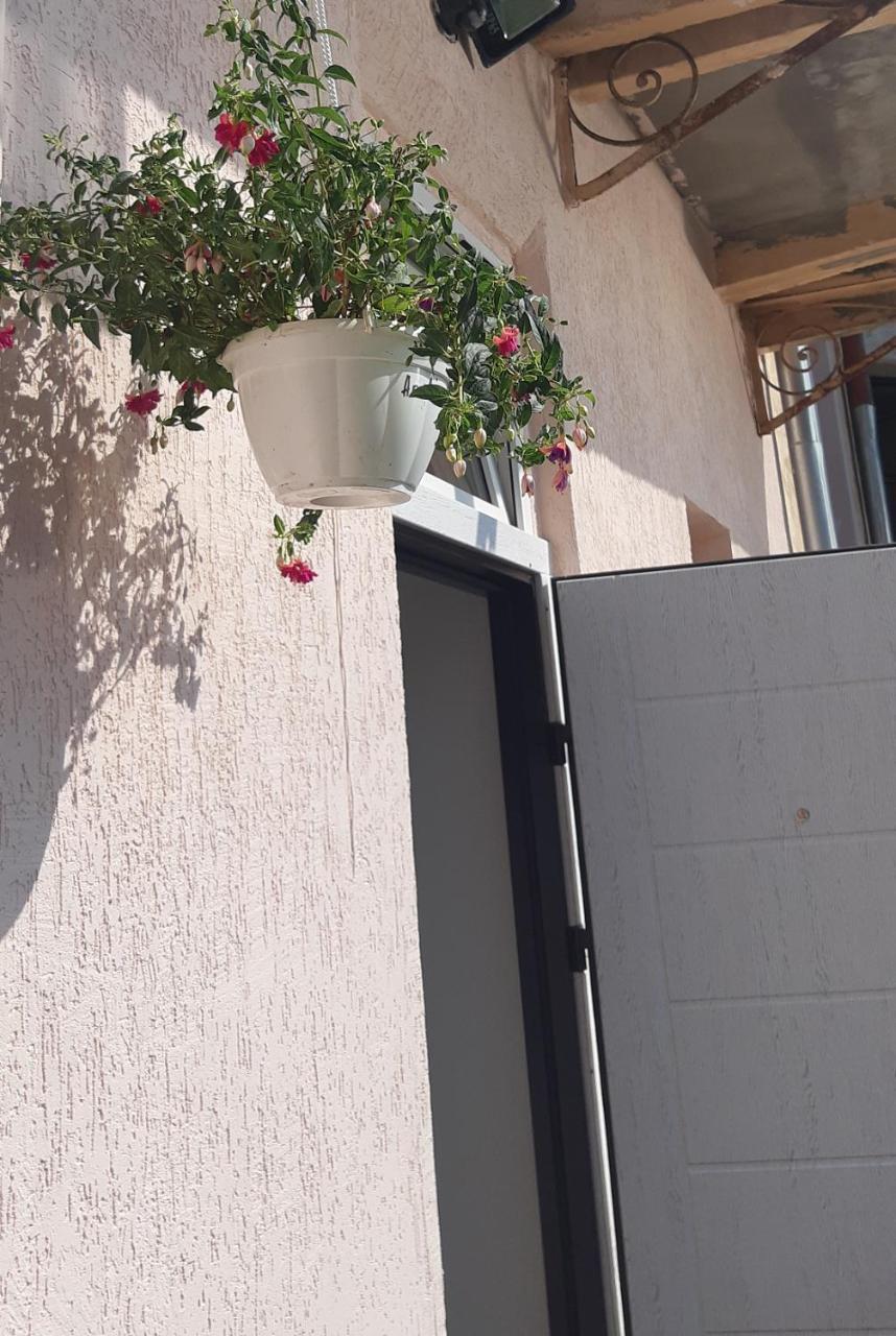 Transfer Apartment إلفيف المظهر الخارجي الصورة