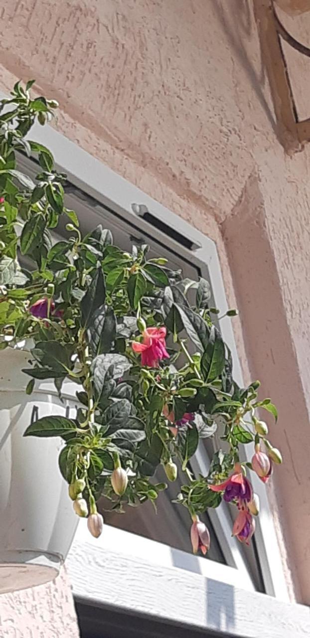 Transfer Apartment إلفيف المظهر الخارجي الصورة