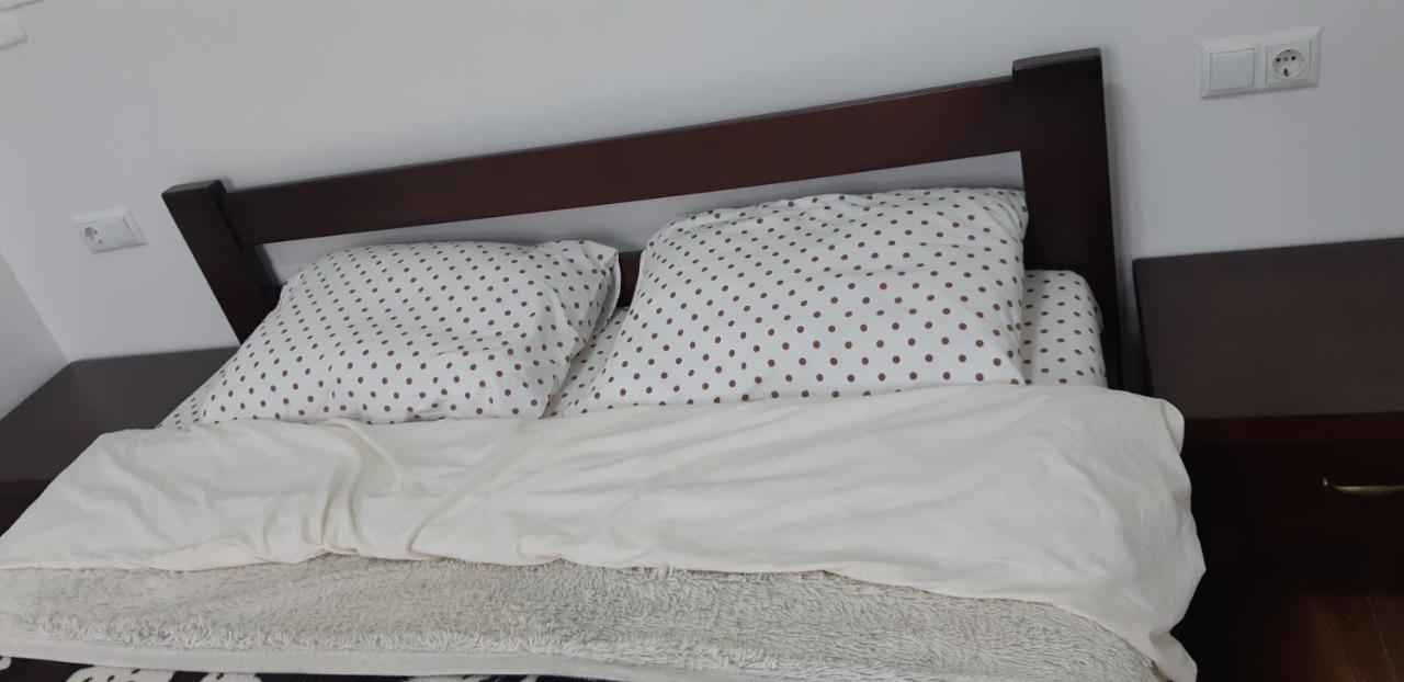Transfer Apartment إلفيف المظهر الخارجي الصورة
